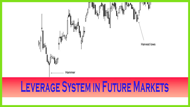 Leverage System in Future Markets