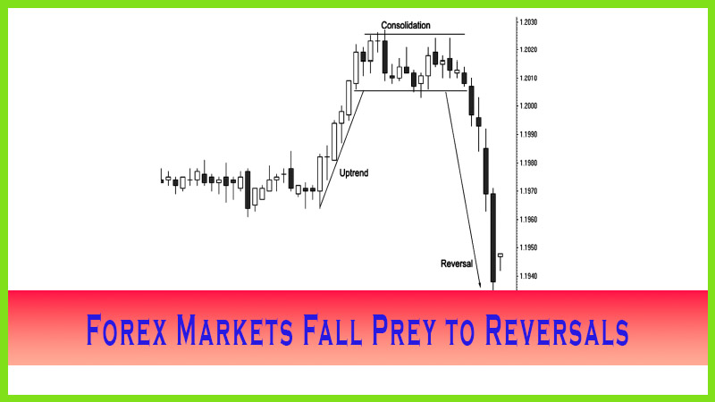 Forex Markets Fall Prey to Reversals