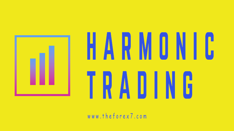 Contemporary Market Case Studies from a Harmonic Trading