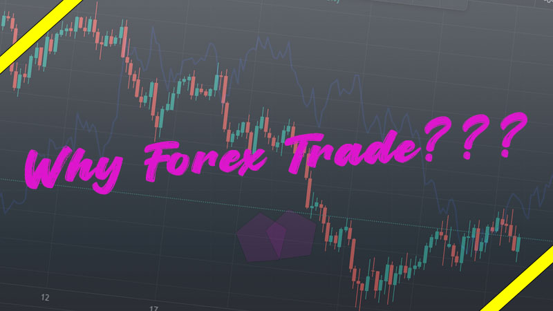 Why Trade Forex: What Are the Benefits of Forex Trading?