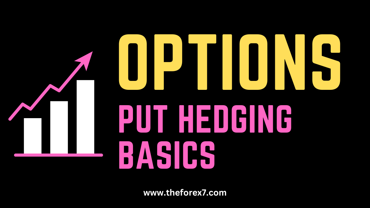 Options Trading: Put Hedging basics