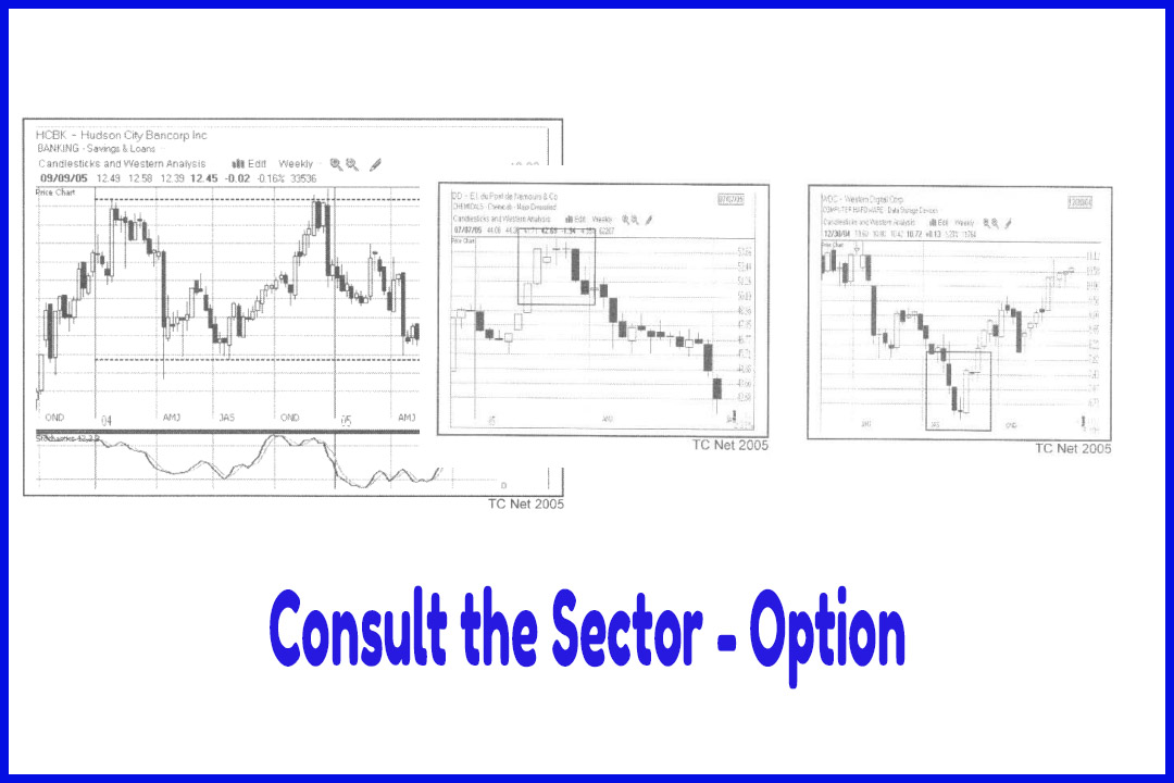 Consult the Sector - Option