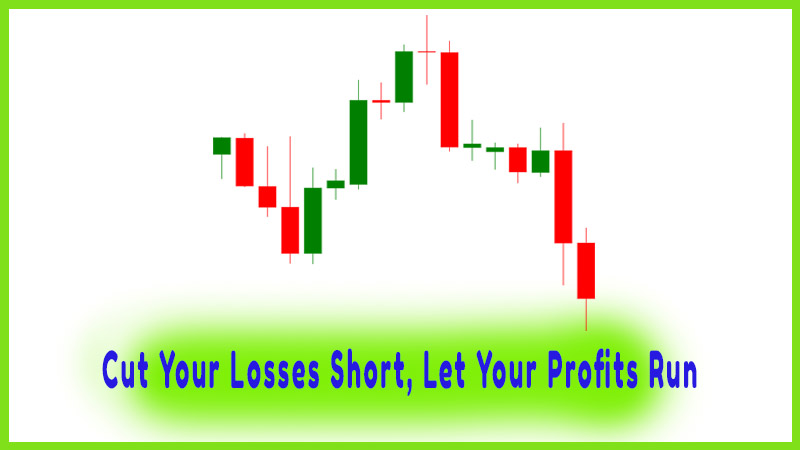 Cut Your Losses Short, Let Your Profits Run