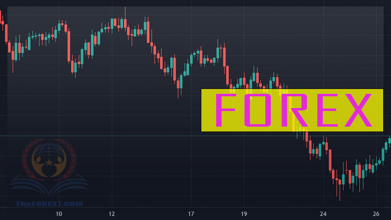 Forex Trading Guide for Beginners Learning