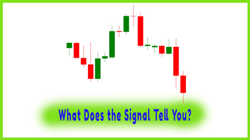 What Does the Signal Tell You?