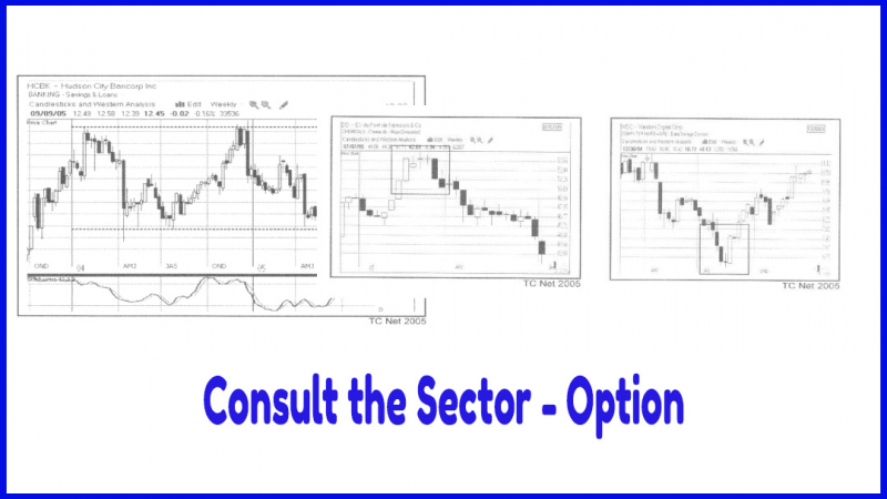 Consult the Sector - Option